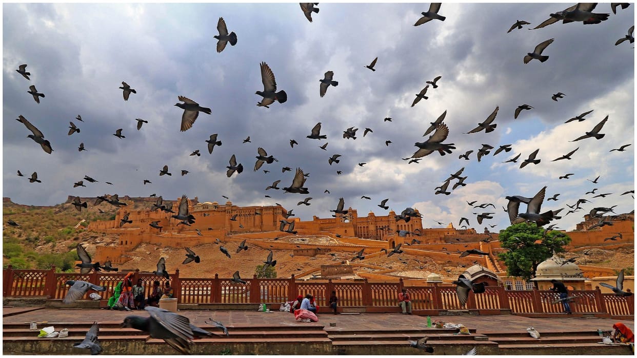 Tour Guide of Pink City jaipur rajasthan in 5 thousand budget know in hindi