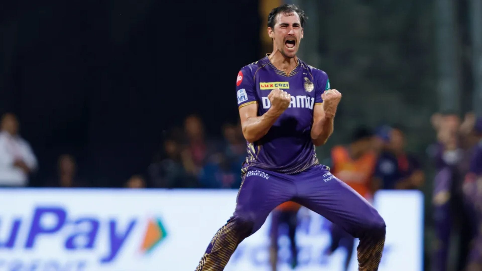 IPL 2025: Kolkata Knight Riders team wants to buy Arshdeep Singh, not Starc in the auction, says report