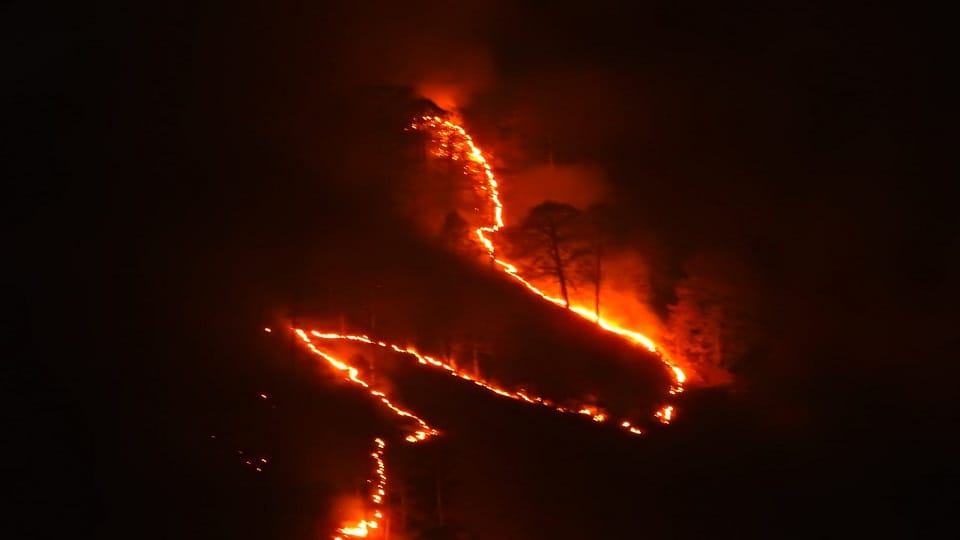 Fire in Darhal Forest in Rajouri. Fire tenders on the spot.