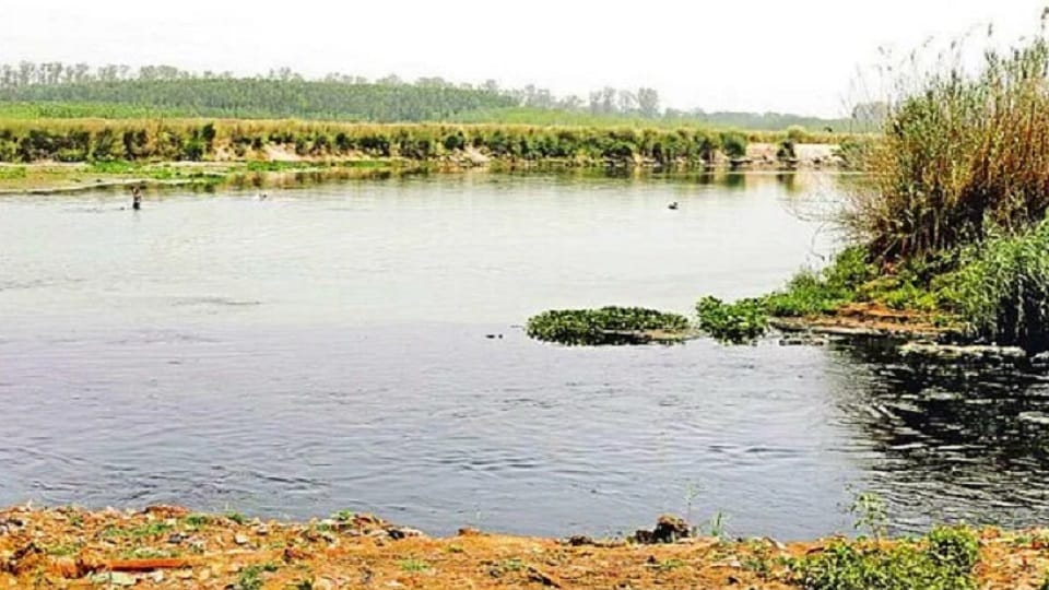 Elections 2024: Water becoming poisonous is missing from the election agenda in Punjab