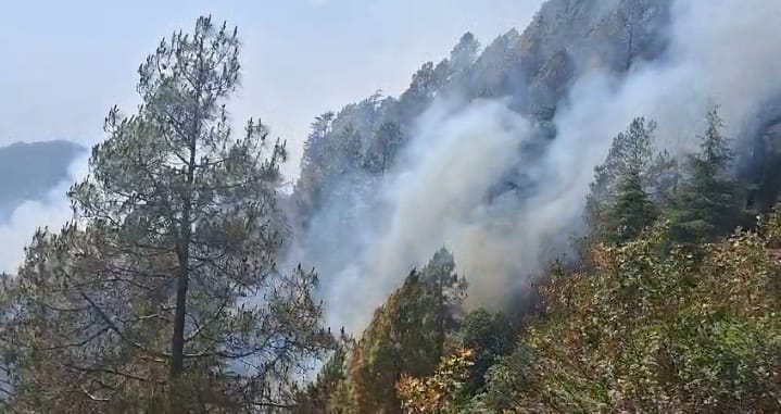 Uttarakhand Forest Fire in Valley of Flowers range situation being accessed from helicopter