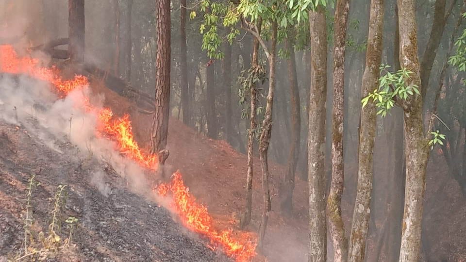 Uttarakhand Forest Fire Smoke Increases in Mountains Three Deaths Till Now All Details