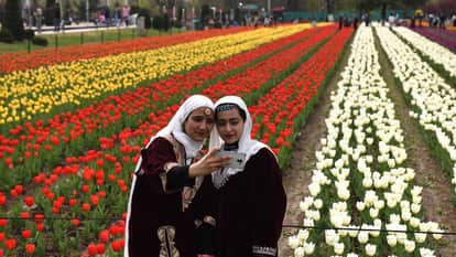 Tulip Garden Opens; Jammu Sanasar Valley Begins Bustling with Tourists