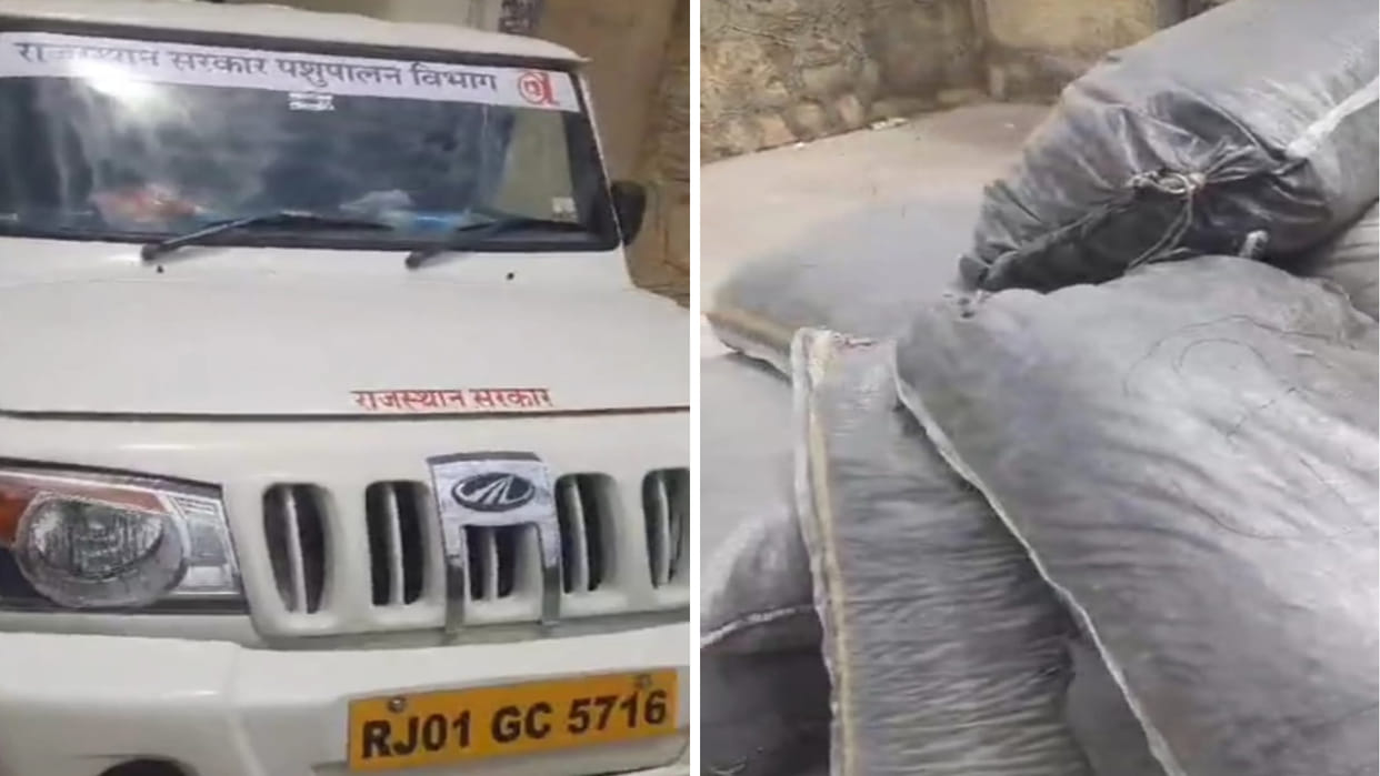 Sirohi News: 3 smugglers smuggling in pickup in the name of vaccine van detained, 667 kg doda poppy recovered
