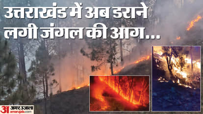 Forest fire in Uttarakhand: Forest fire reaches the high Himalayas