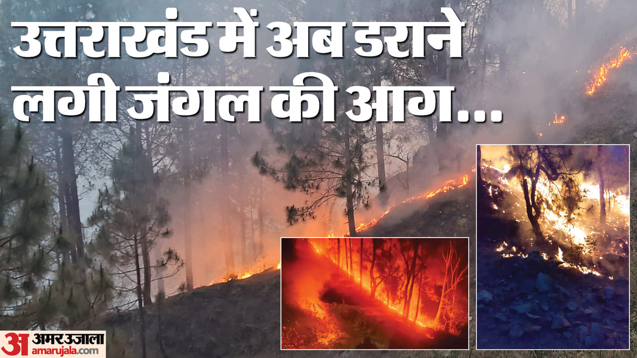 Uttarakhand Forest Fire Smoke Increases in Mountains Three Deaths Till Now All Details