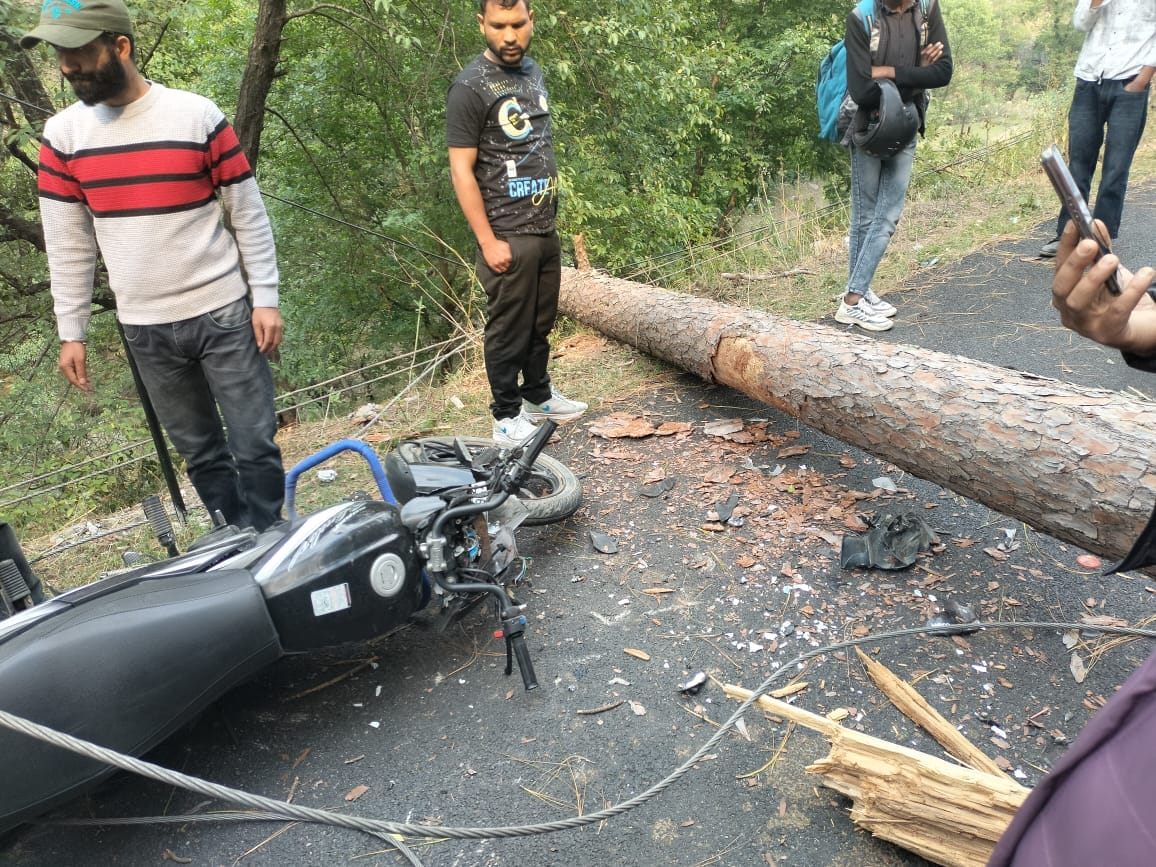 Uttarakhand News bike hit by tree that fell during storm both died on spot in Uttarkashi