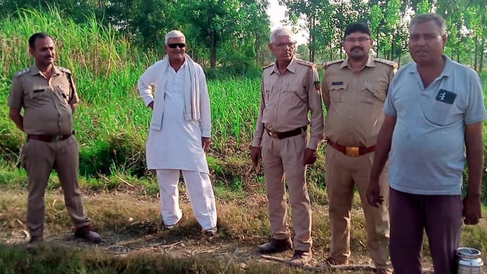 Amroha: Villagers ran away after seeing leopard in field, took both cubs along, forest department team arrived