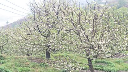 Weather scares growers, apple crop in trouble for second consecutive year