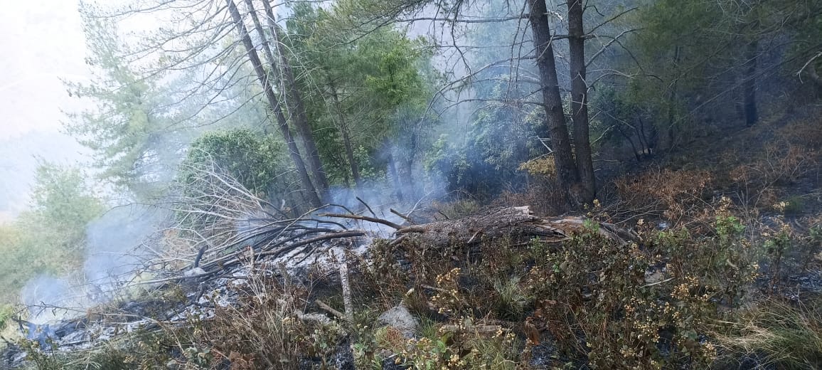Uttarakhand Forest Fire broke out in shade of Chakrata Cantonment Board army personnel extinguished after 11 h