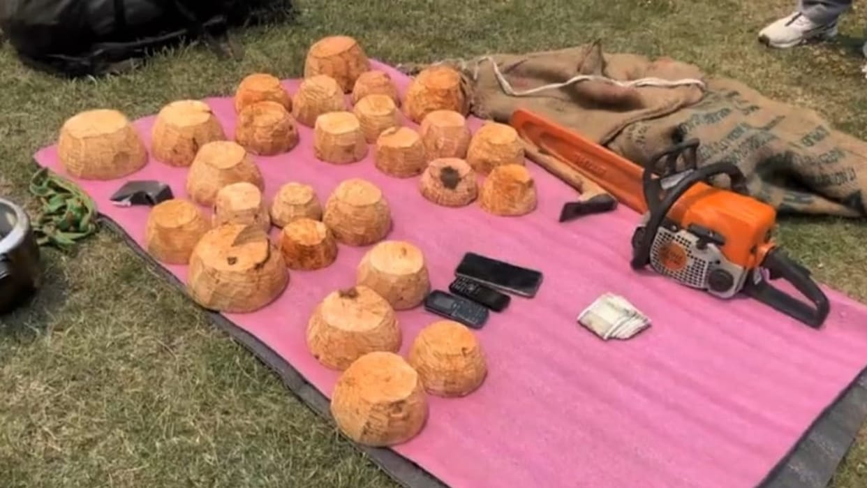 Three arrested with maple tree wood in Dodra Kwar Rohru