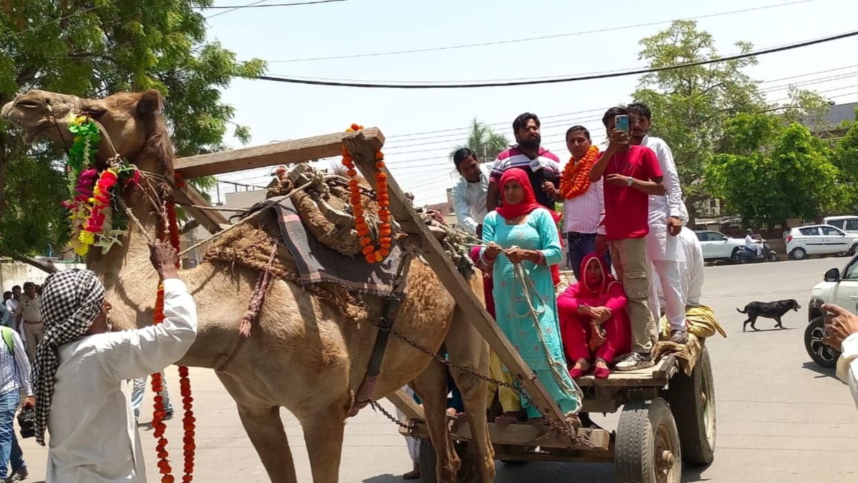 Haryana Lok Sabha : Candidate arrived in camel cart to file nomination