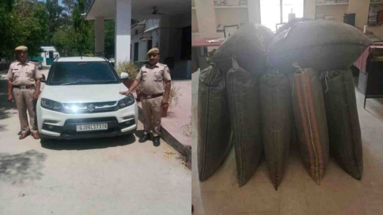 Sirohi News: Police seized 260 kg of doda poppy worth Rs 39 lakh from Brezza car.