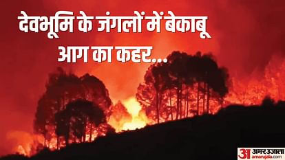 Uttarakhand Forest Fire: Burning tree fell on moving vehicle in nainital uttarakhand