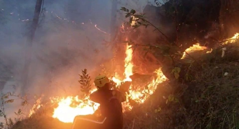 Uttarakhand Forest fire out of control Five Died in 930 incidents so far NDRF also deployed on the front