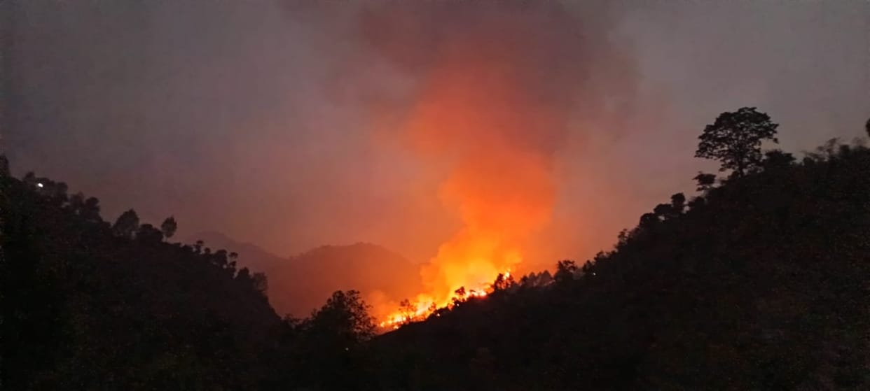 Uttarakhand Forest Fire 10 people caught for setting fire in the forest