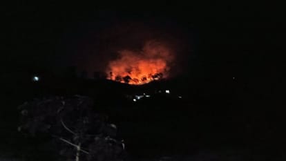 Uttarakhand Forest Fire: Fire broke out at 106 places in Pithoragarh