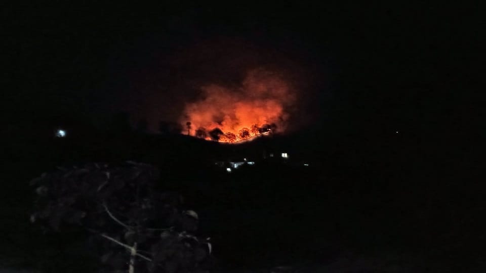 Man dies due to burning in forest fire in Someshwar Almora
