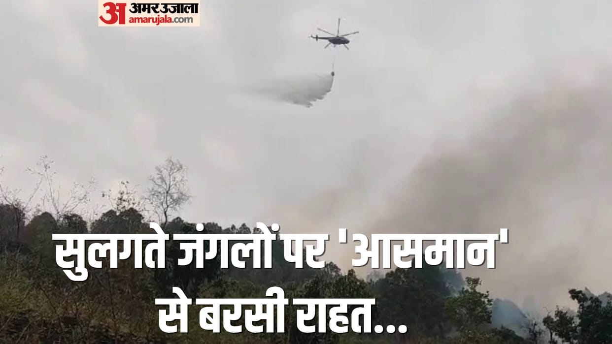 Uttarakhand Forest Fire Indian Air Force extinguish fire by helicopter in Srinagar Photos