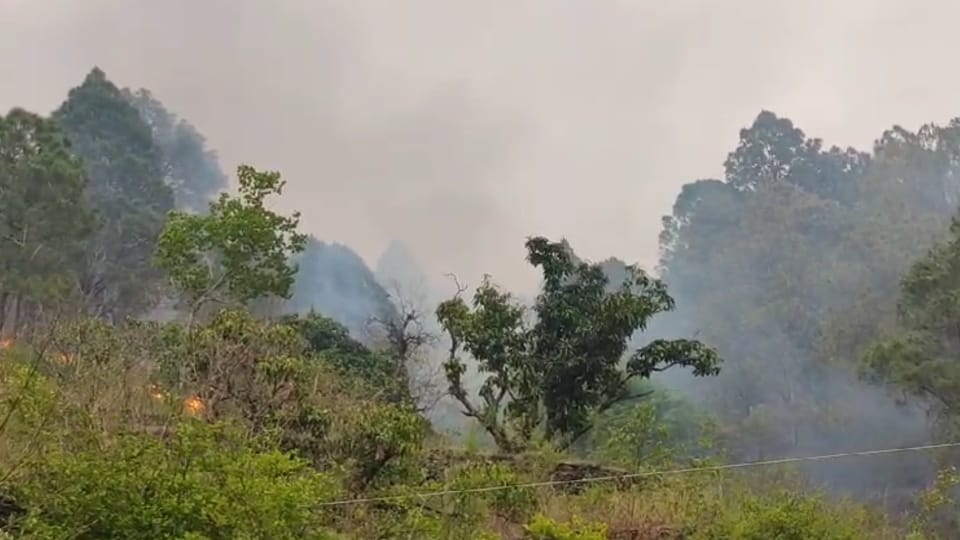 Uttarakhand Forest Fire Indian Air Force extinguish fire by helicopter in Srinagar Photos
