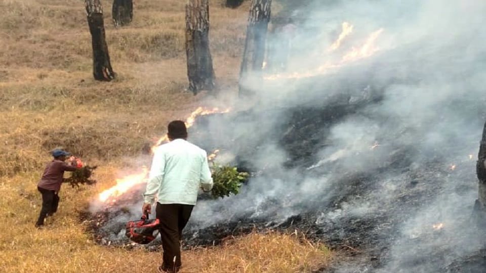 Uttarakhand Forest Fire: Government departments have different figures regarding forest fires