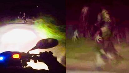 People souls trembled after seeing scary creature in middle of road in Mathura