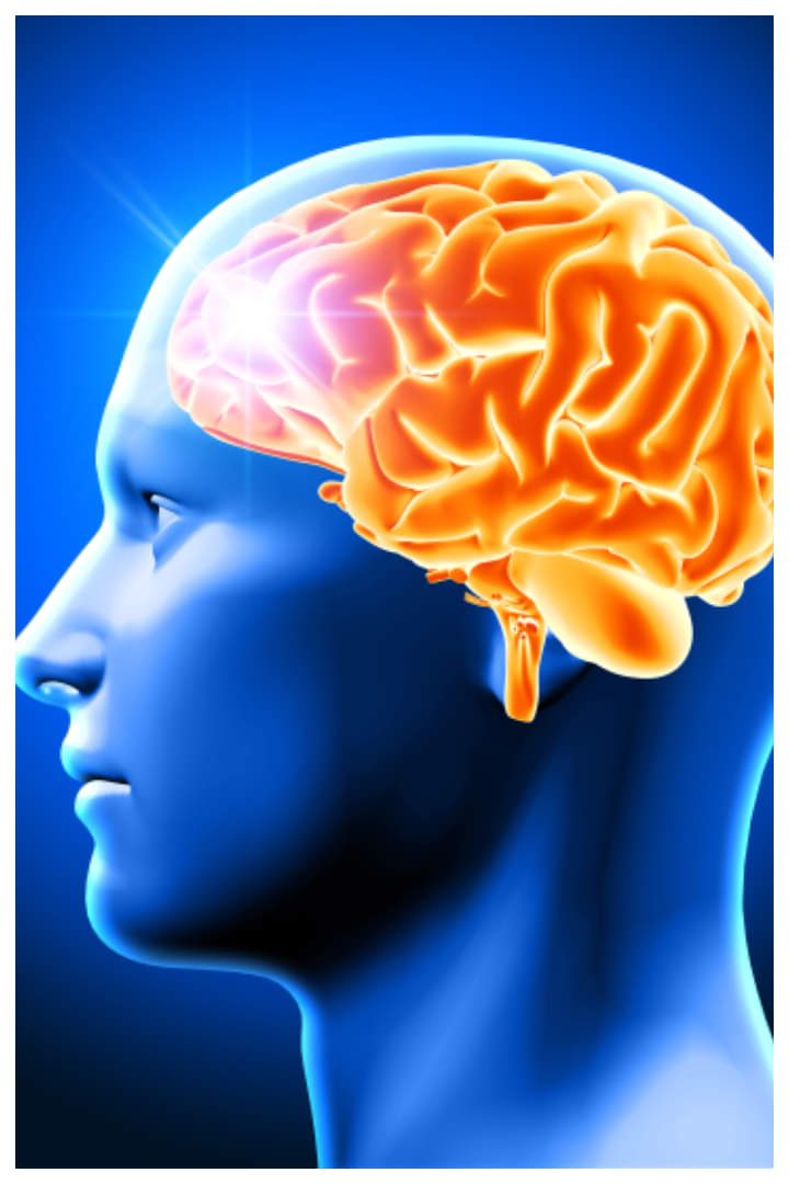 मस्तिष्क