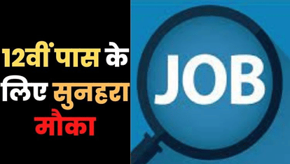 Digital Marketing Career