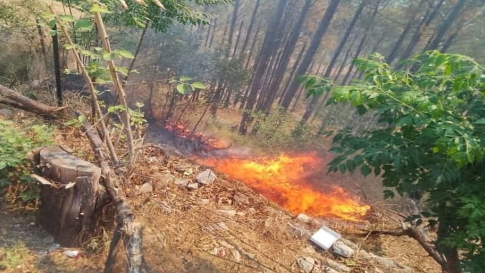 Uttarakhand Forest fire at 68 places in 24 hours Air Force helicopters again rained water in Pauri