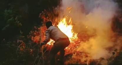 जंगल में आग