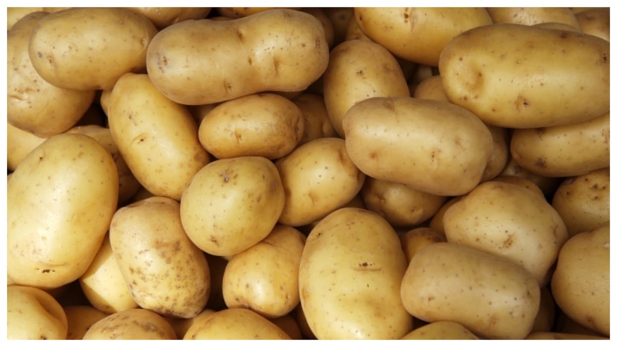 CPRI: 'Kufri Himalini' potato will not spoil for a long time, yield will also double