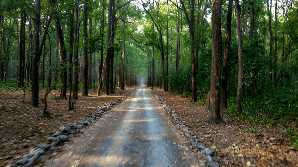 Immediate action will be taken on complaints of damage to forest properties