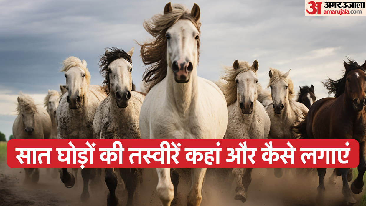 Vastu Shastra Which Direction of Seven Horses Keep on Wall For The Blessings of Goddess Lakshmi Know Significa
