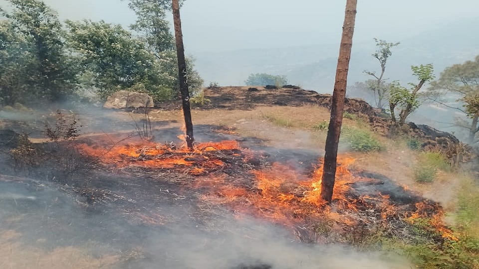 Uttarakhand Forest Fire: Forest fire reached the population in nainital