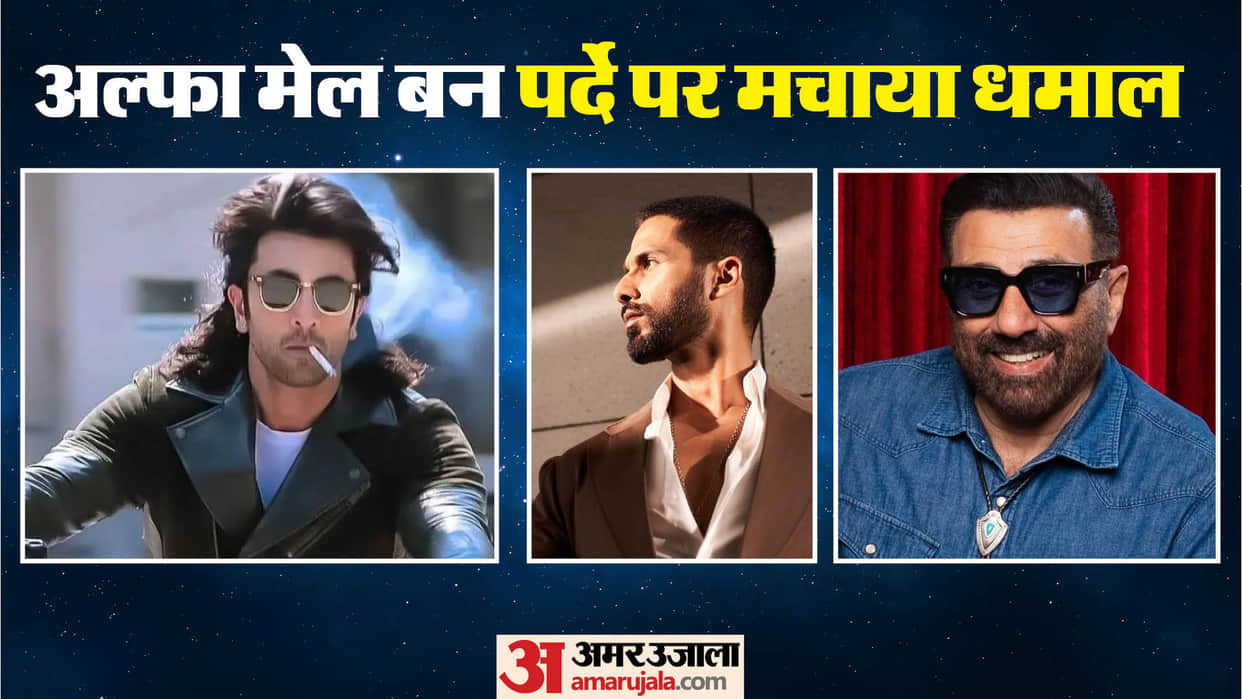 Bollywood Actors Who Played Alpha Male Roles in Movies Ranbir Kapoor Shahrukh Khan Sunny Deol Salman Khan