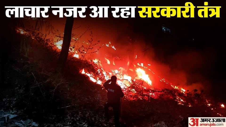 Fire in Uttarakhand Forest: Different figures from two departments regarding forest fires in uttarakhand