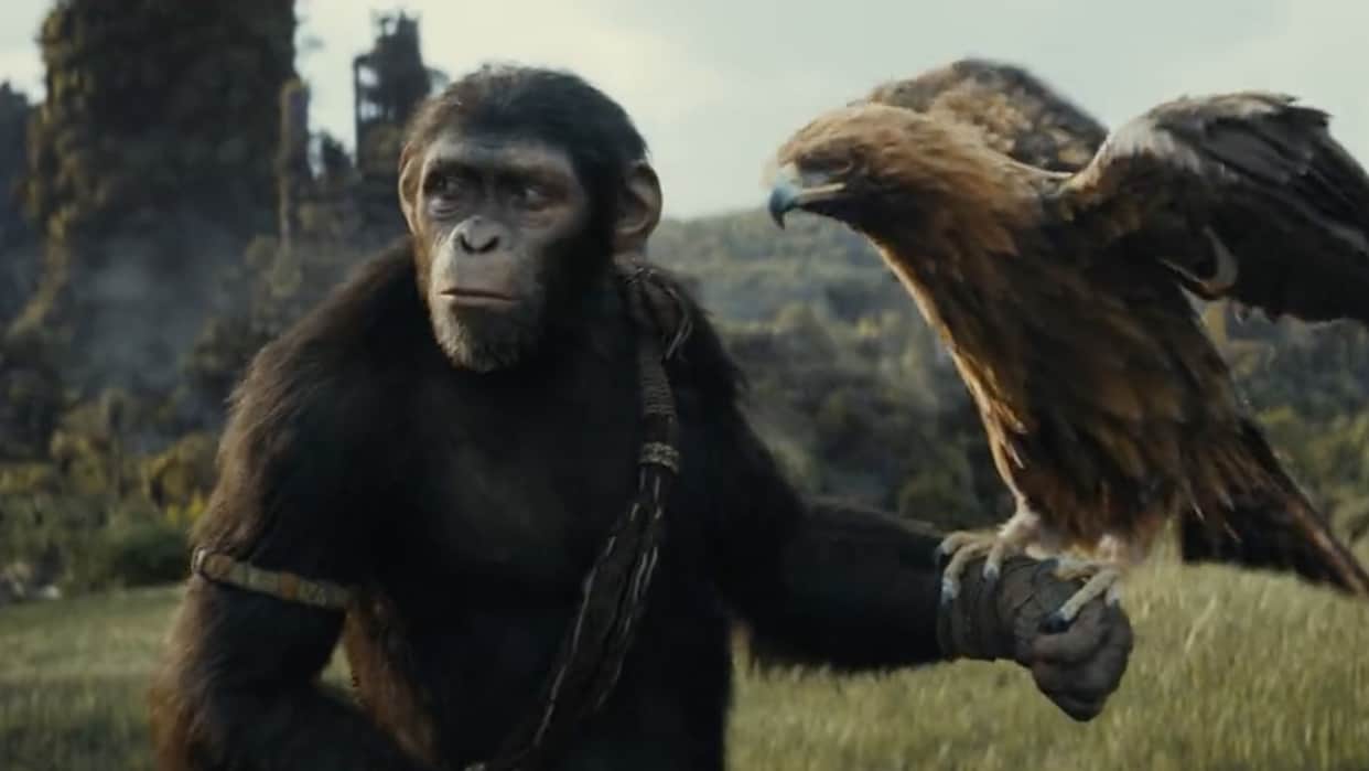 The Planet Of The Apes Franchise five exciting moments Upcoming Movie Kingdom of the Planet of the Apes