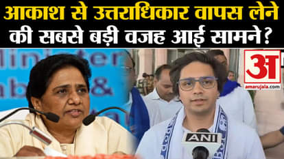 Lok Sabha Election 2024: The biggest reason for withdrawing succession from Akash Anand has come to the fore?