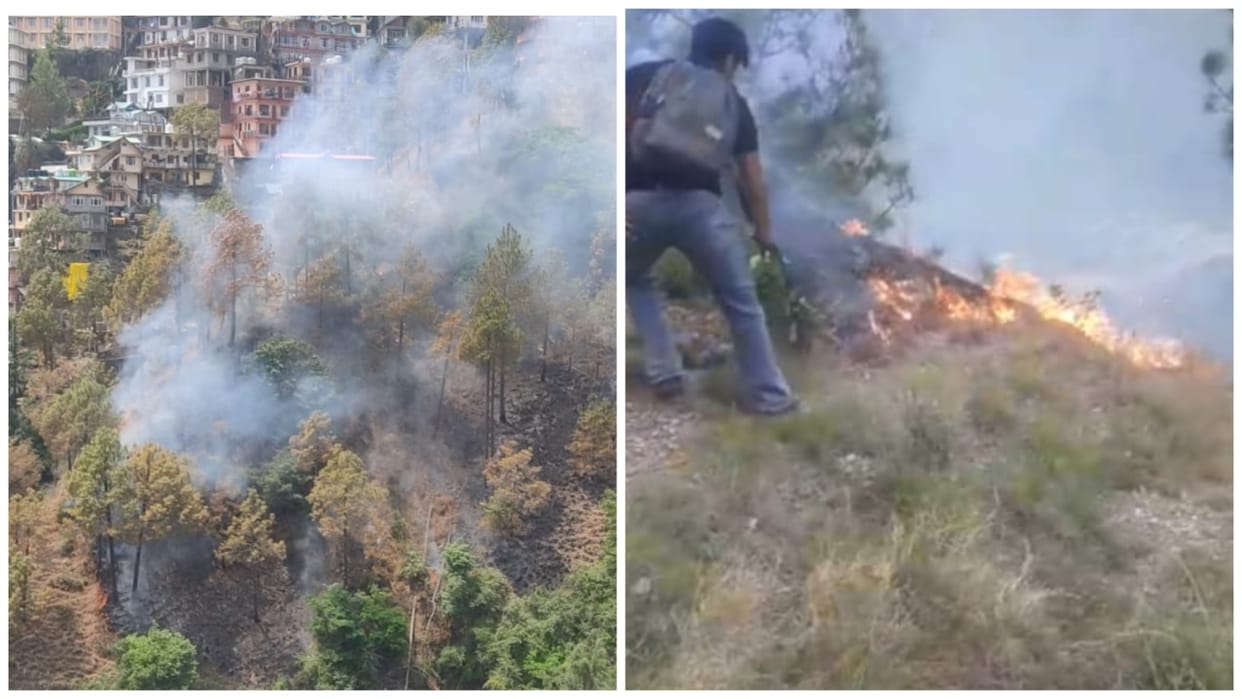 Fire broke out in the forests of Naldehra and BCS In Shimla