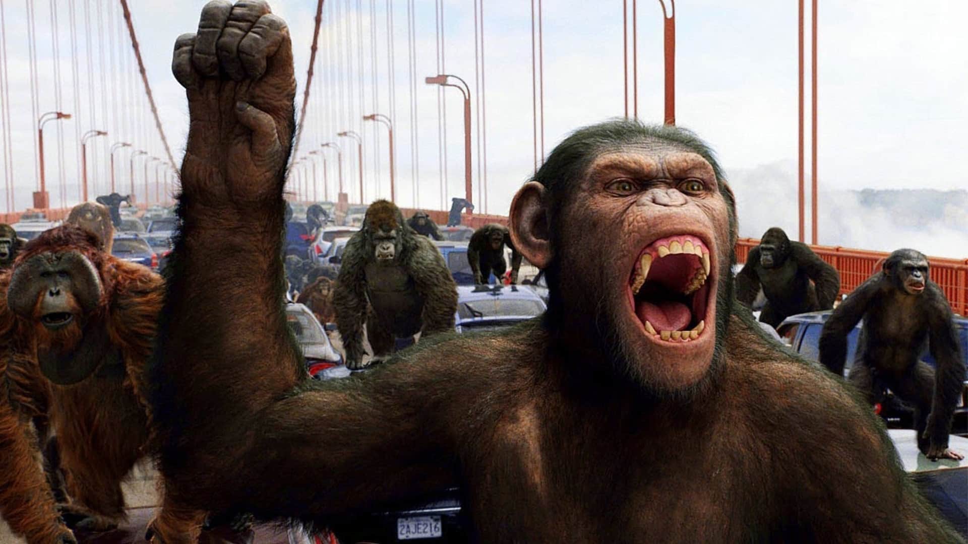The Planet Of The Apes Franchise five exciting moments Upcoming Movie Kingdom of the Planet of the Apes