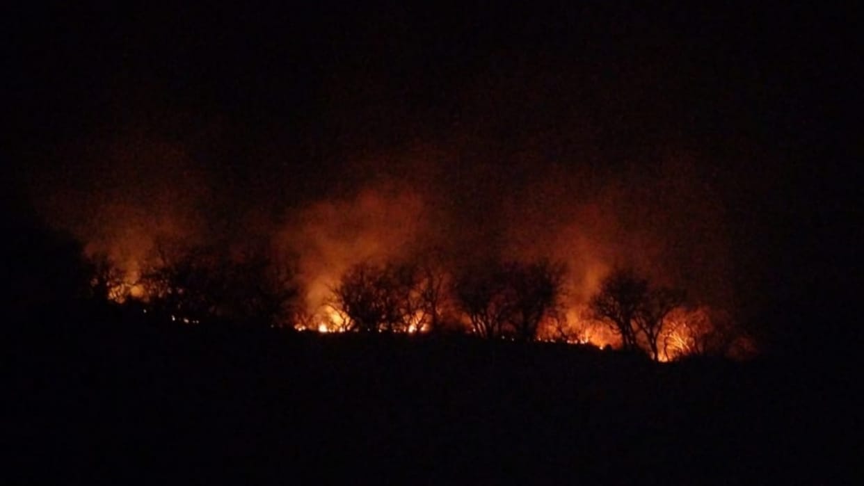 Dausa News: Forest fire reduced 10 hectares of hilly area to ashes, calmed down after 10 hours of hard work