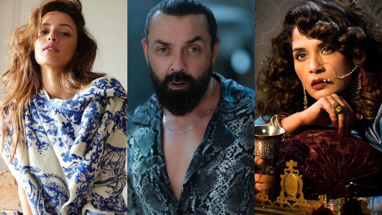 Stars who played small role but got praised by audience Richa Chadha bobby deol tripti dimri vicky kaushal