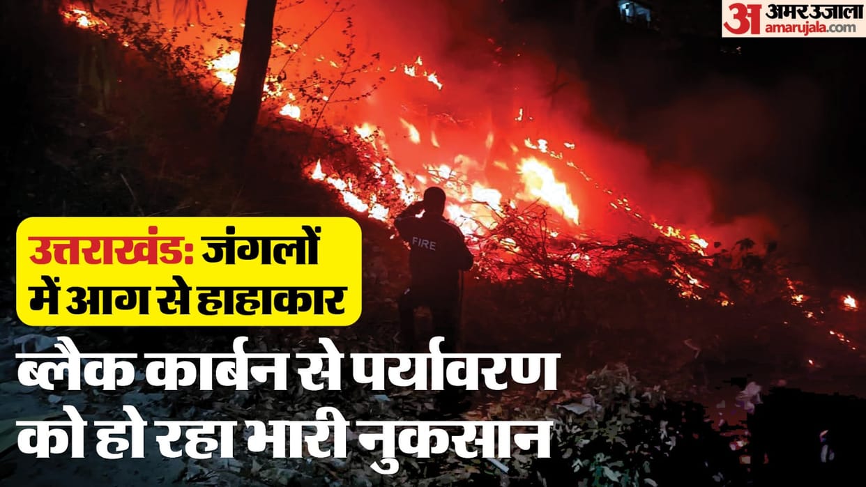 uttarakhand-forest-fires-damage-nature-increase-heat-black-carbon-emissions