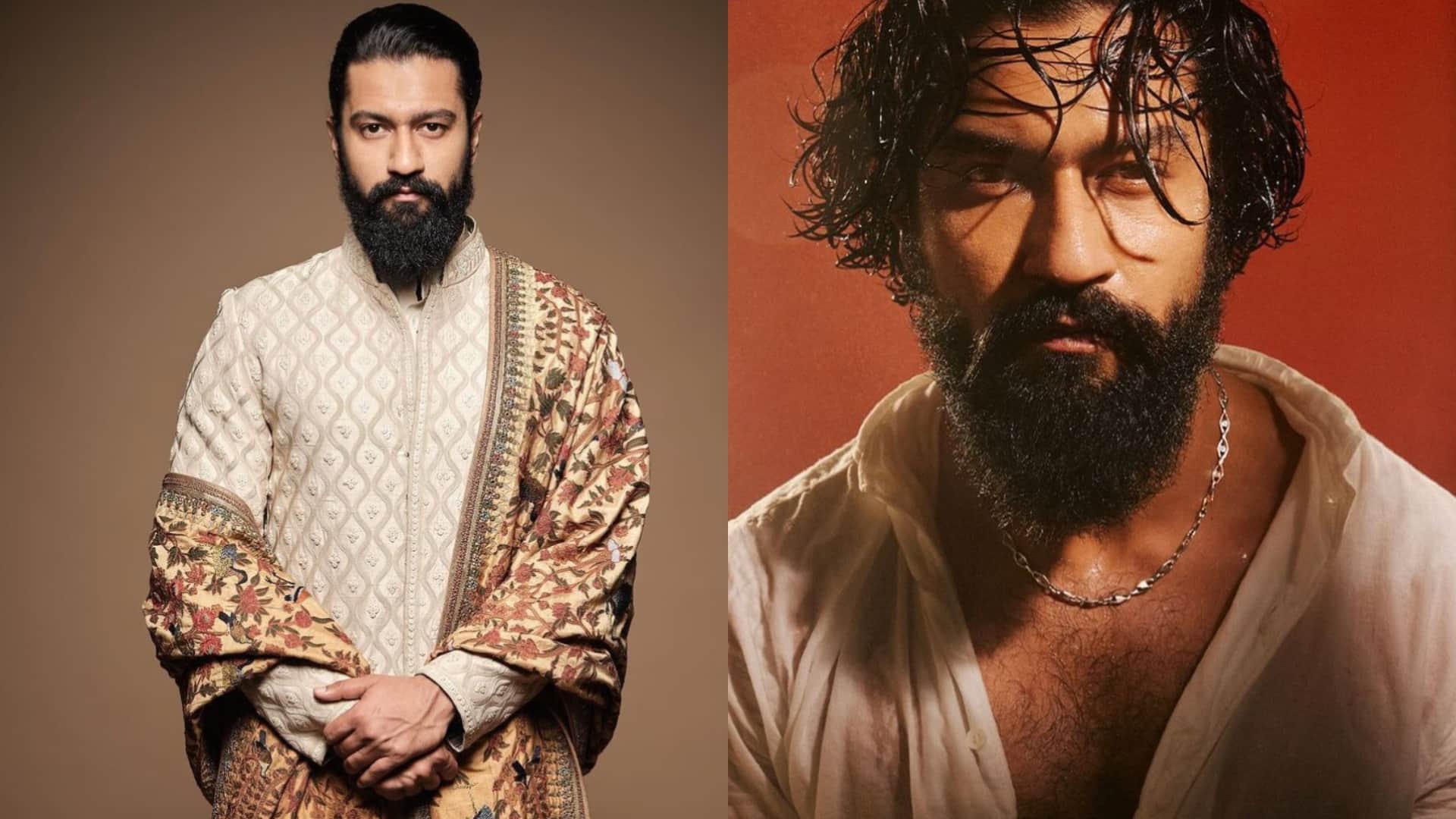 Stars who played small role but got praised by audience Richa Chadha bobby deol tripti dimri vicky kaushal