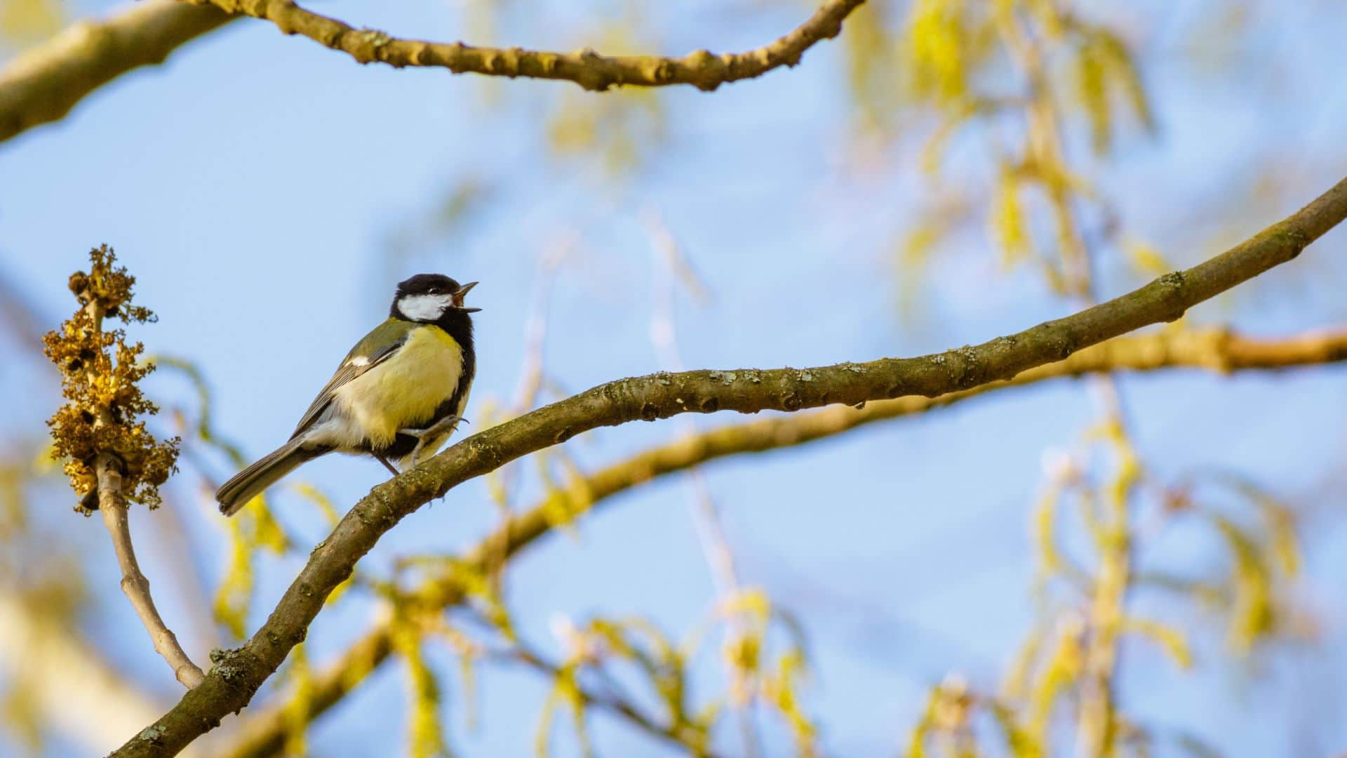 Vastu Shastra vastu tips according to vastu shastra it is auspicious to see these things