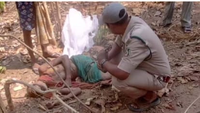 elderly villager who had gone to pluck tendu leaves was crushed to death by elephant in Raigarh