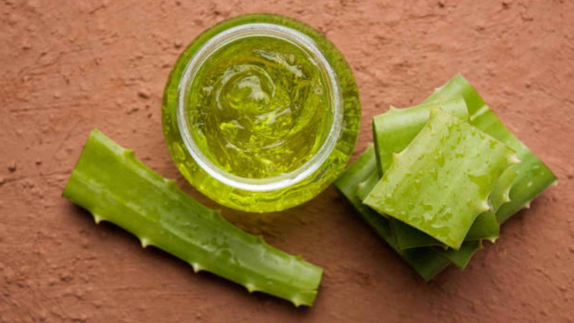 homemade hydrating hair masks for summer garmiyo me balon ke liye hair mask