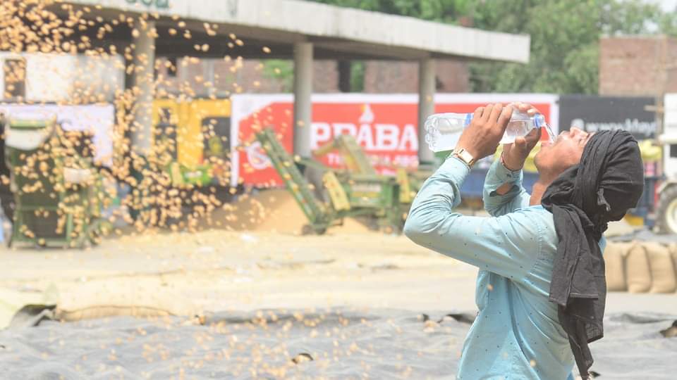 Summer Tips To Avoid Heat Stroke keep These Things While Going Out in Summer Season