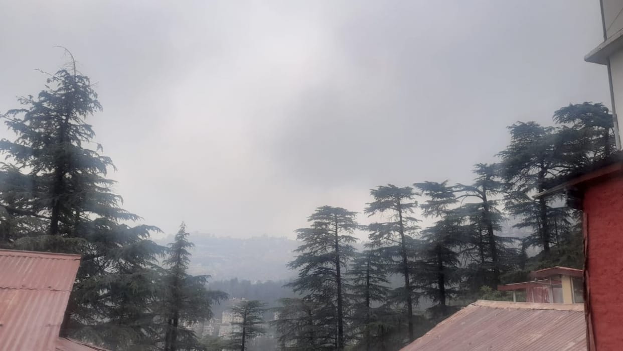 Himachal Weather: Minimum mercury in Paonta Sahib Dhaulakuan higher than maximum temperature in Shimla, Keylan