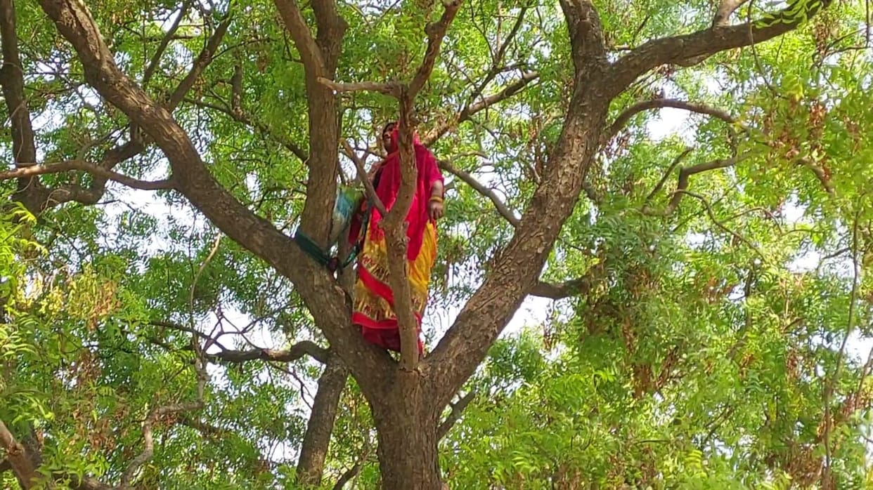 voltage drama of a woman who climbed a tree, remained adamant on calling PM-CM